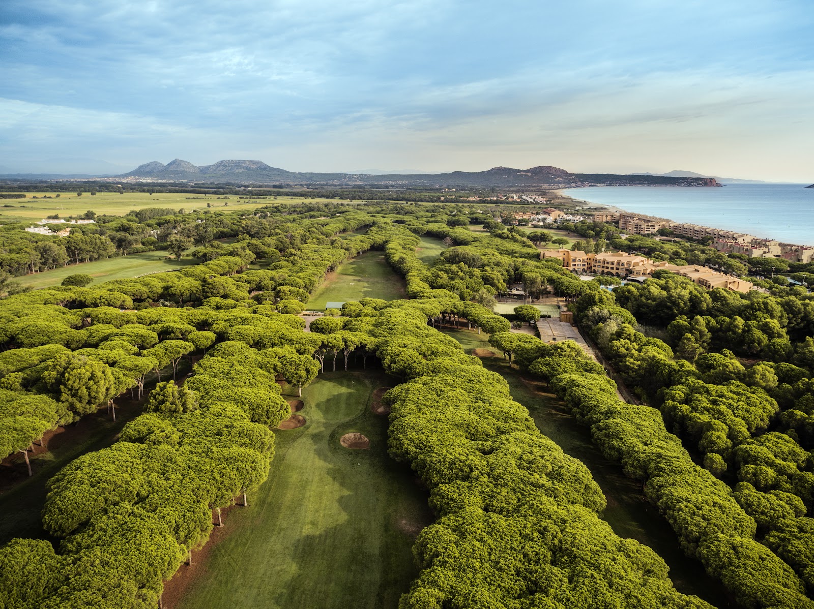 Golf de Pals, fairways through umbrella pines by Platja de Pals, Costa Brava, Spain