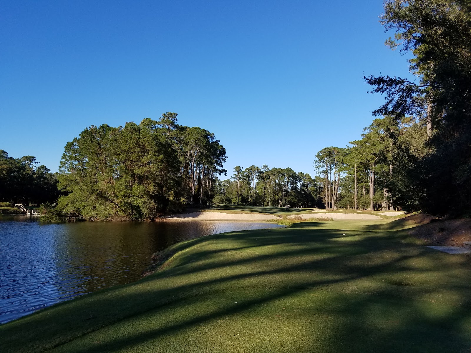 Caledonia Golf and Fish Club avenue of live oaks near Pawleys Island, Myrtle Beach