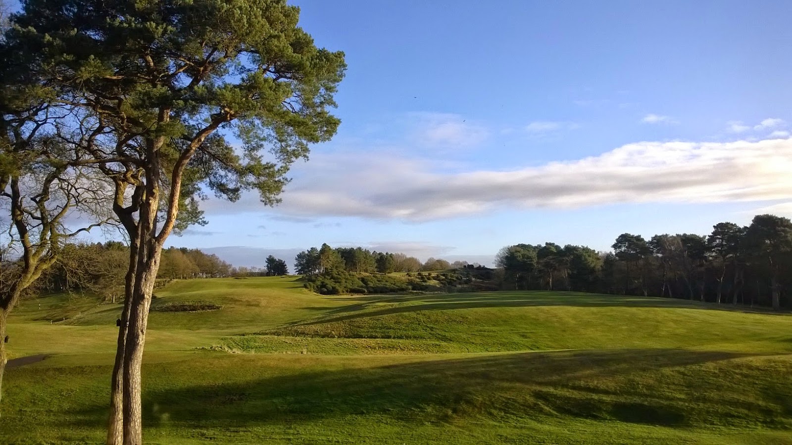 Delamere Forest Golf Club, heathland fairway through the old forest, Cheshire, England