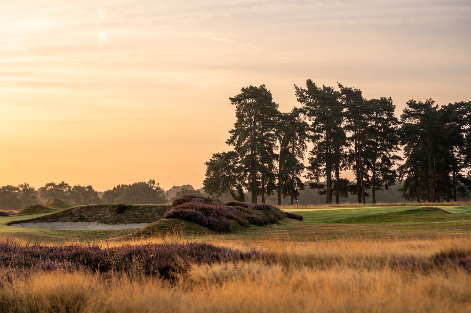 Walton Heath Golf Club, heather lined fairway on the Surrey heathland, England