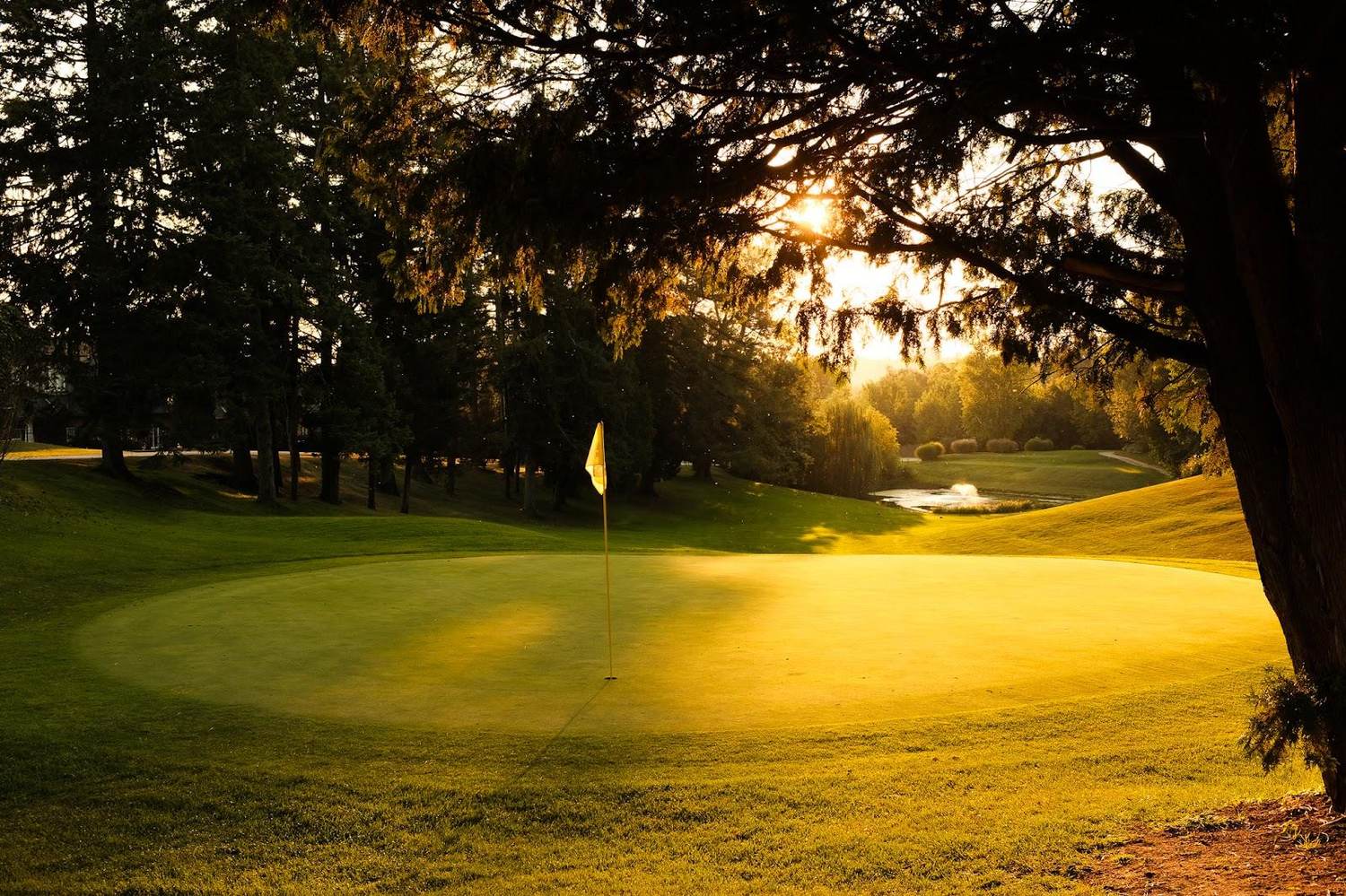 Norfolk Golf Club, golf course