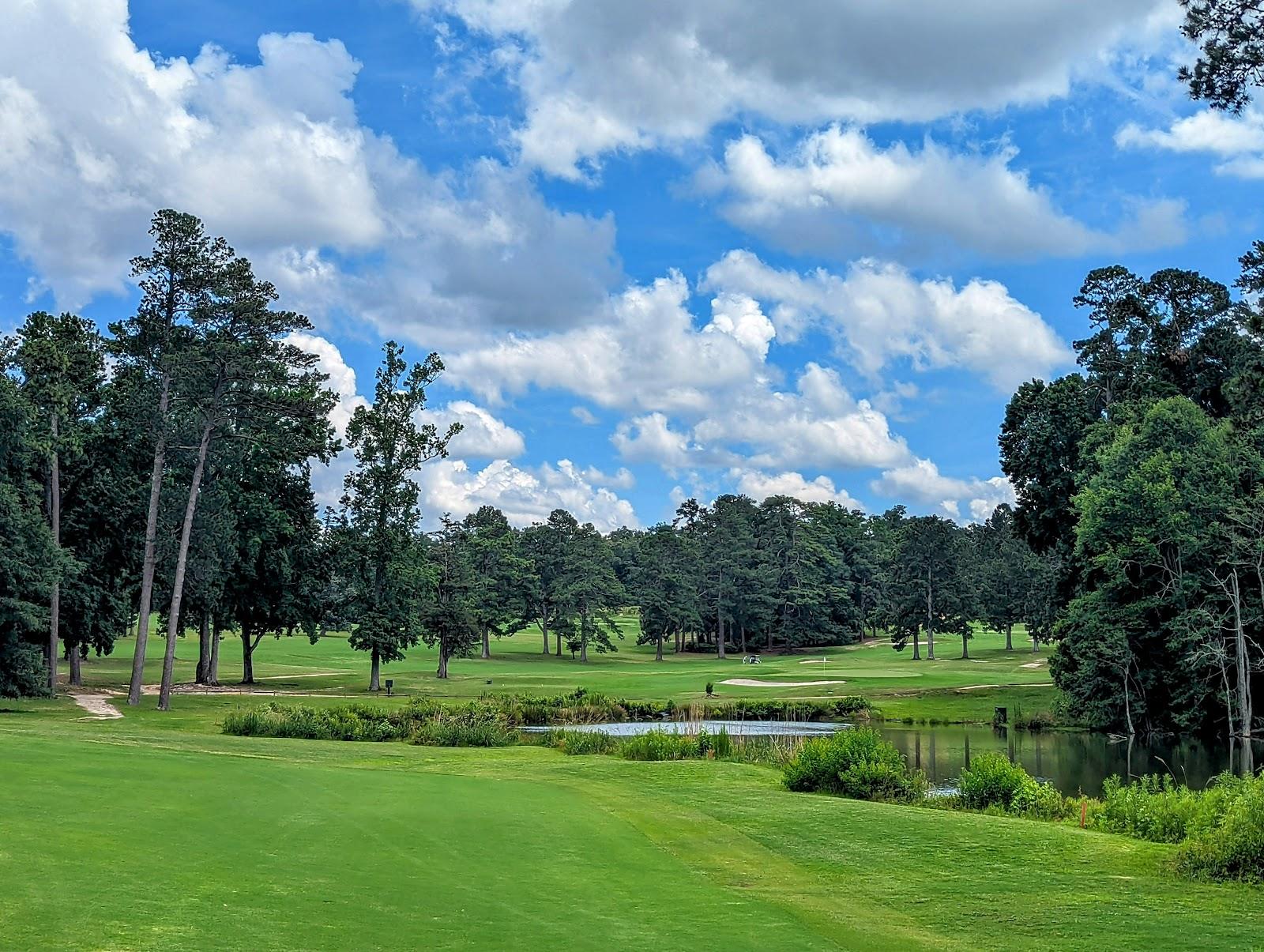 Palmetto Golf Club, golf course