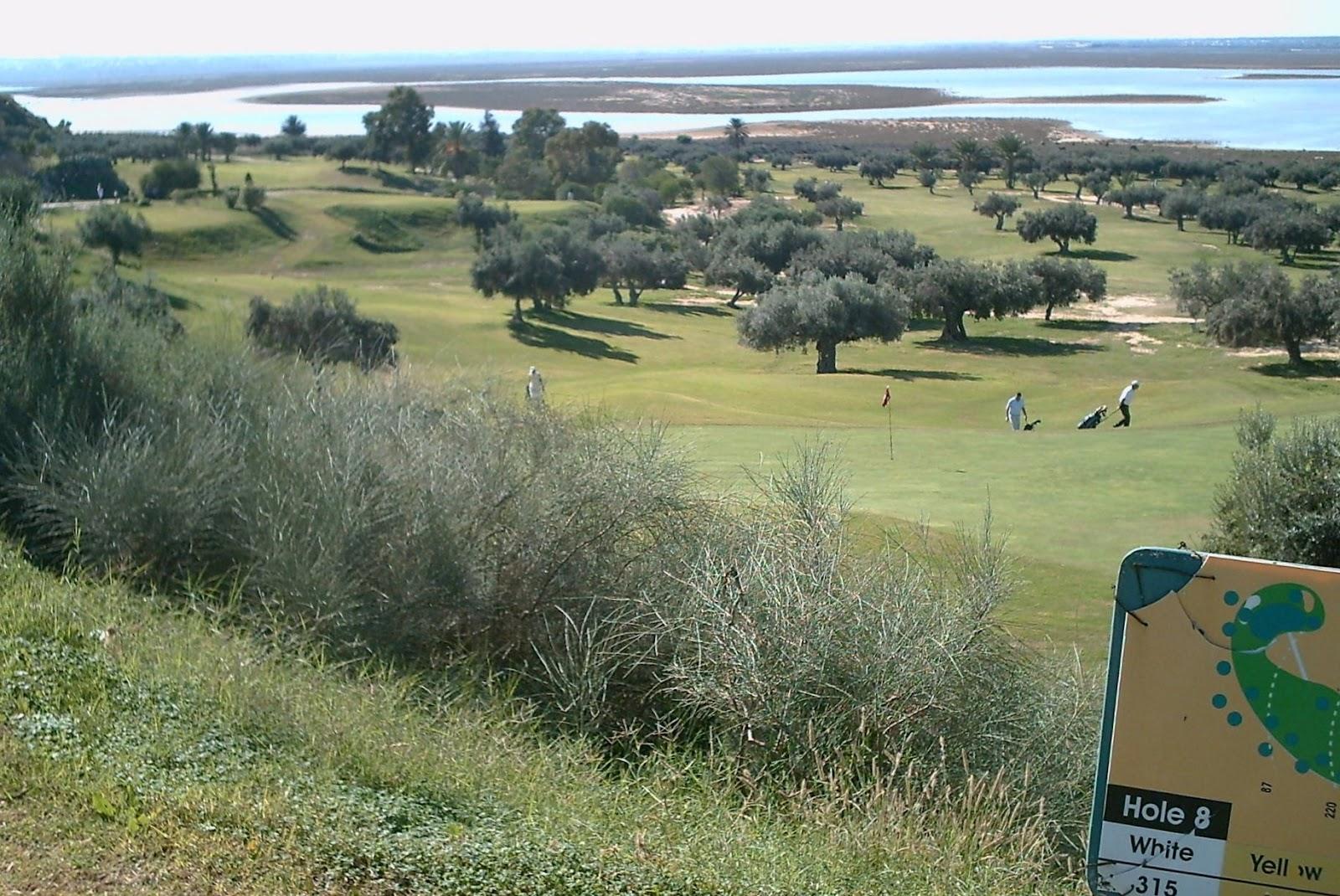 El Kantaoui golf course near Sousse, Tunisia, palm lined fairways by the sea