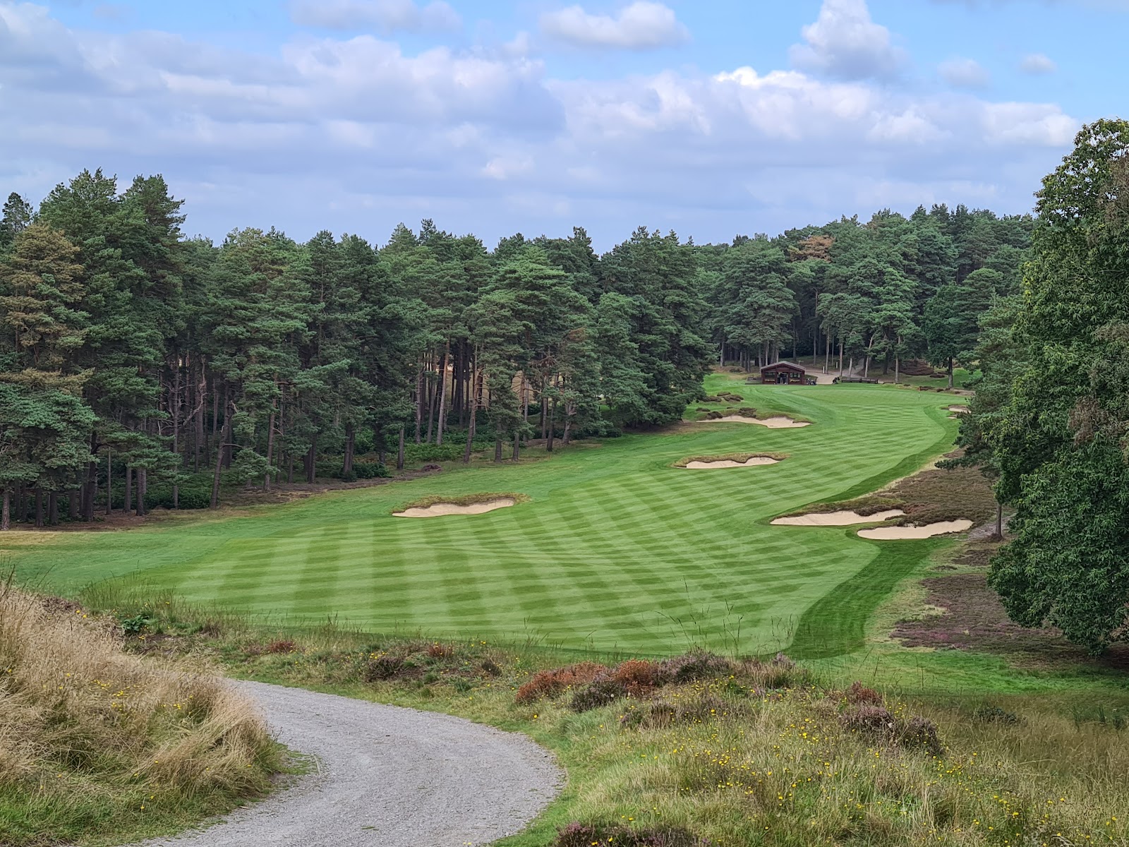 Sunningdale Golf Club, heather and pine framed heathland fairways in Berkshire