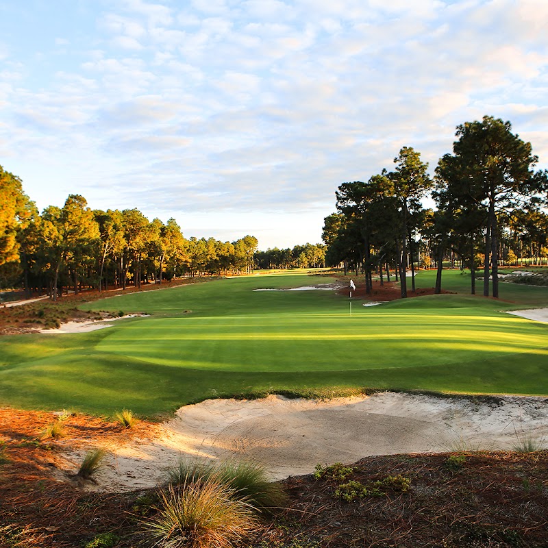 Pinehurst No. 2, crowned green and sandy native areas in the Sandhills, North Carolina