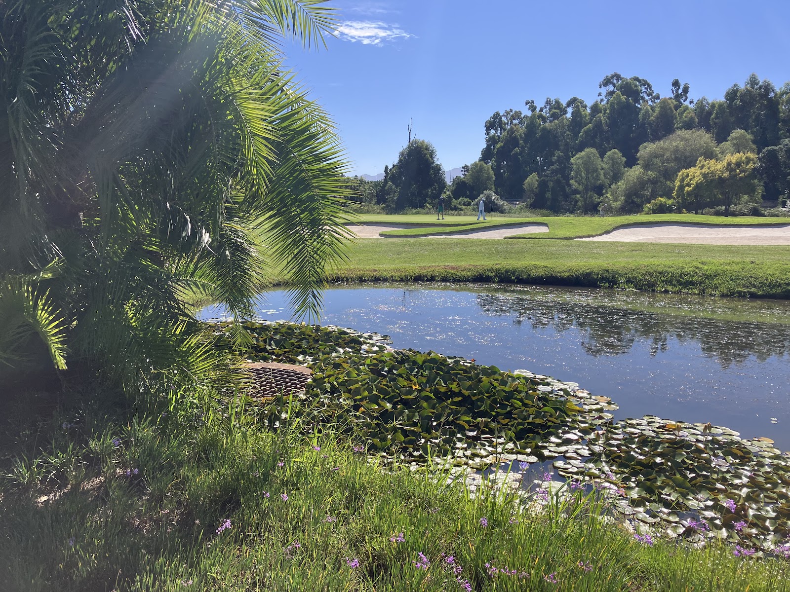 Luxury Tours of South Africa, Golf in South Africa - Golf Tour Booking golf course